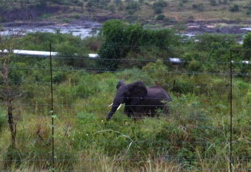 بنسيون Villacandilabra Guesthouse