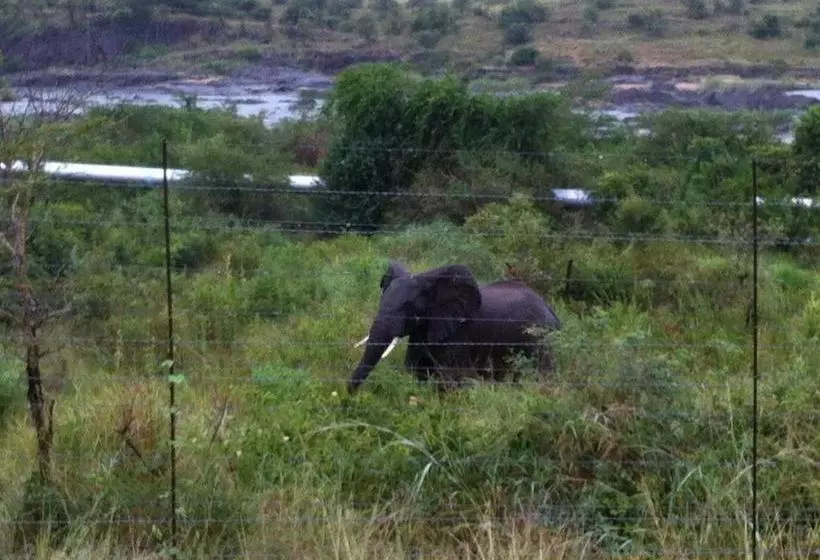 Majatalo Villacandilabra Guesthouse