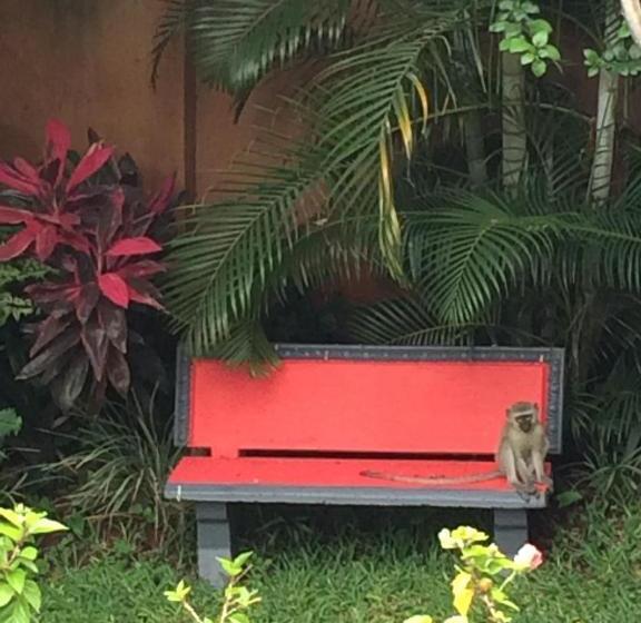 بنسيون Villacandilabra Guesthouse