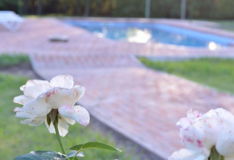 هاستل Hostal La Gloria