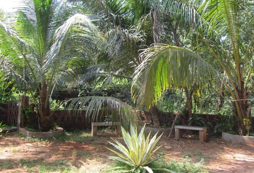 پانسیون Georgedale Guest House