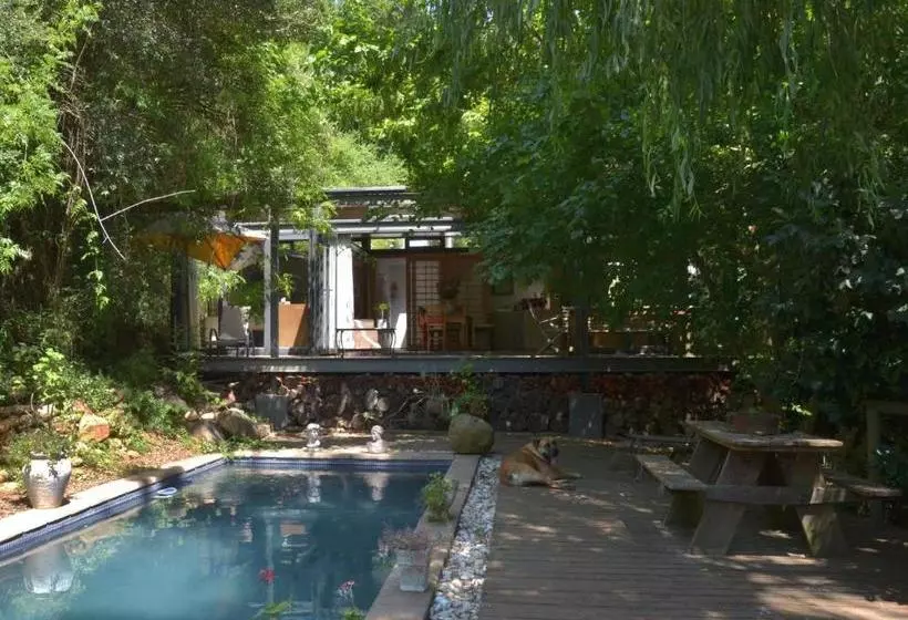 پانسیون Glasshouse In The Winelands