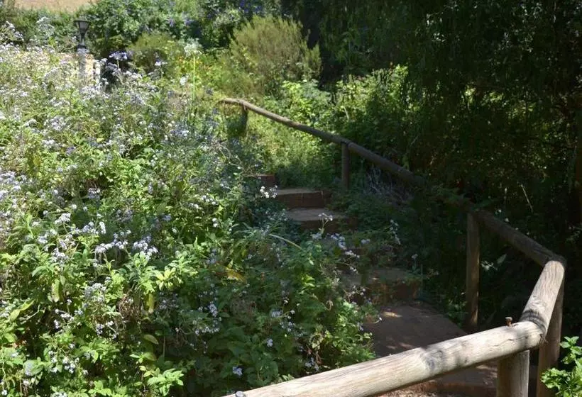 پانسیون Glasshouse In The Winelands