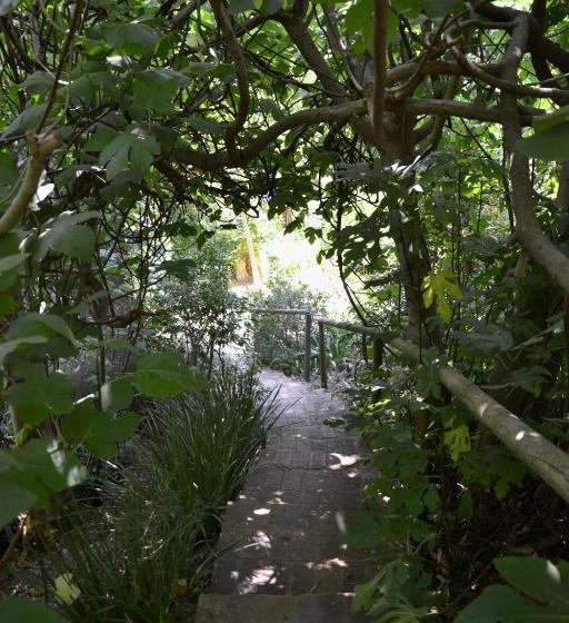 膳宿费 Glasshouse In The Winelands