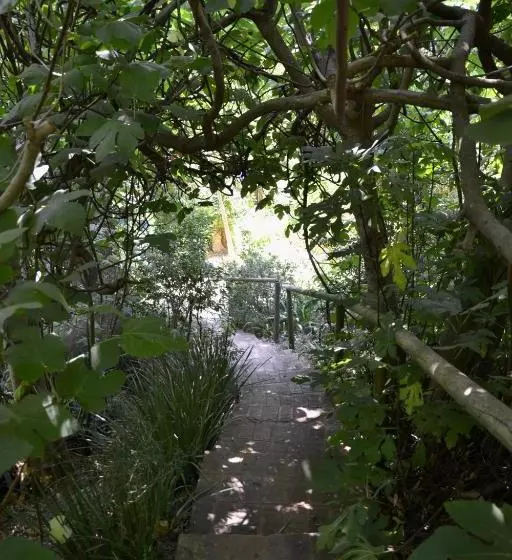 پانسیون Glasshouse In The Winelands