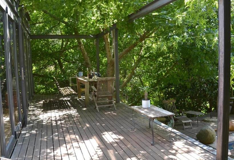 膳宿费 Glasshouse In The Winelands