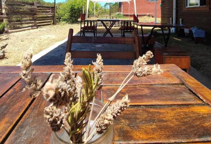 Пансион Green Door