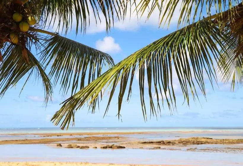 Majatalo Pousada Venezia Tropicale