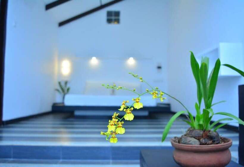 فندق صغير Midigama Holiday Inn