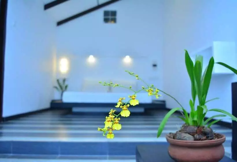 Retkeilymaja Midigama Holiday Inn