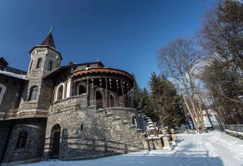 پانسیون Castelul Stirbey