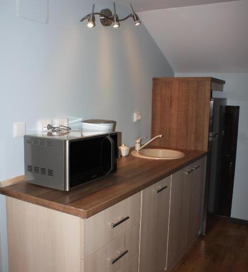 פנסיון Castelul Stirbey