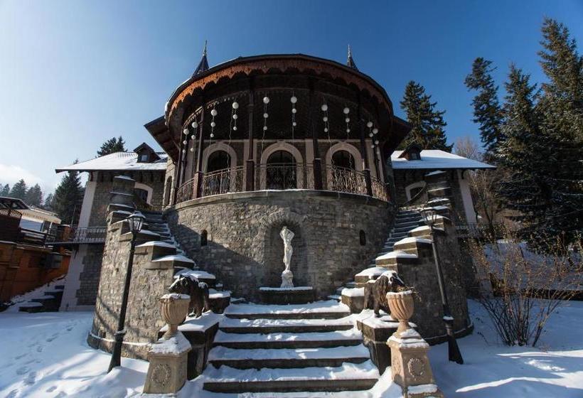 פנסיון Castelul Stirbey