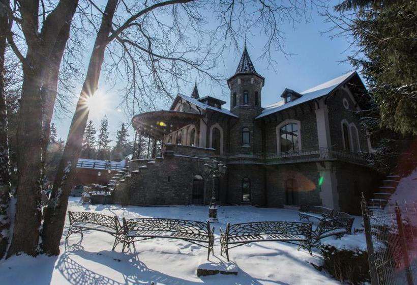 פנסיון Castelul Stirbey