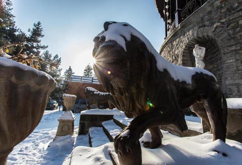 פנסיון Castelul Stirbey