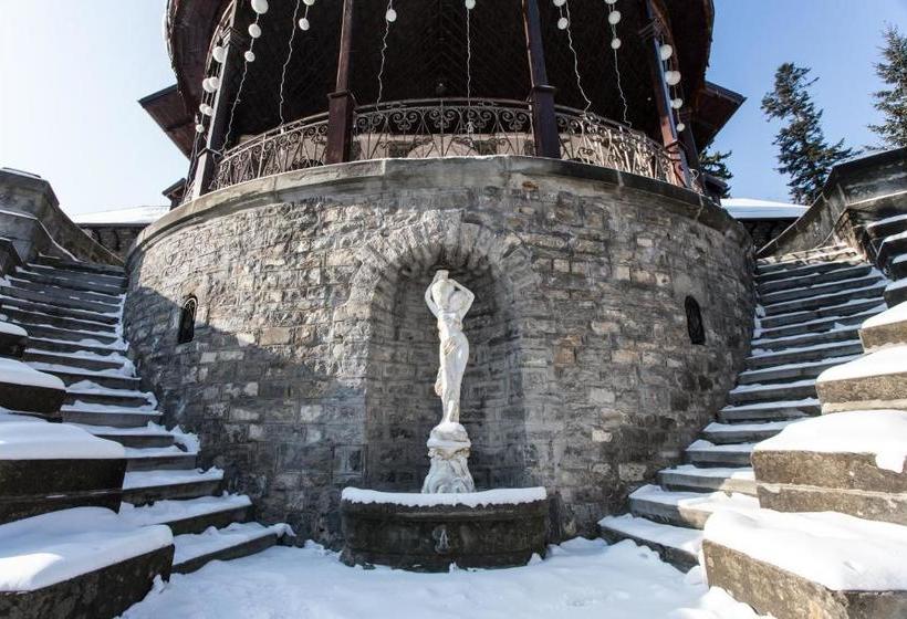 פנסיון Castelul Stirbey