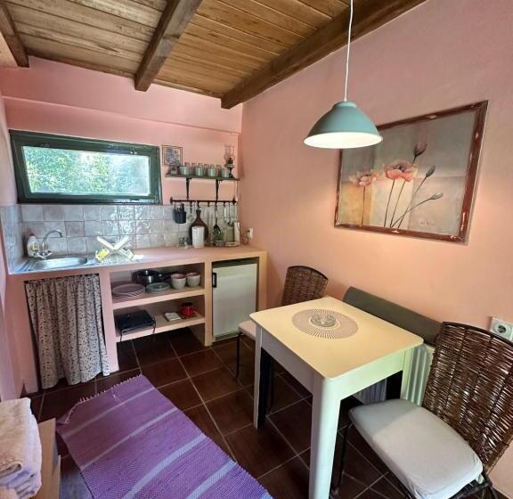 پانسیون Guest House Pikec