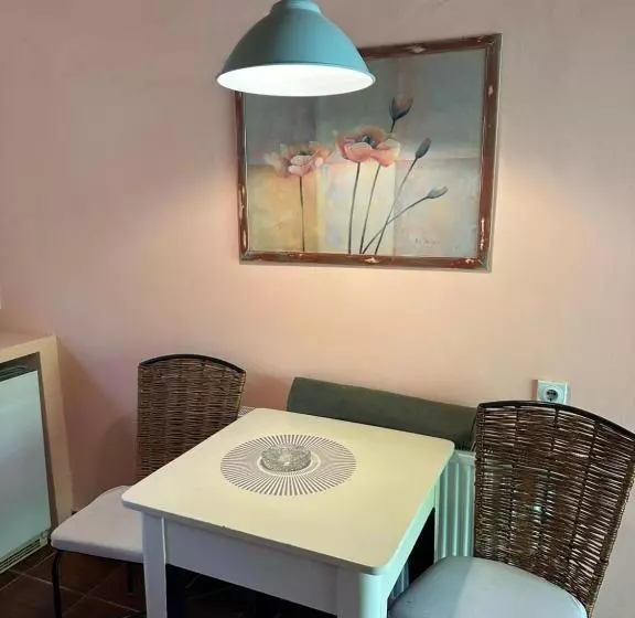 پانسیون Guest House Pikec
