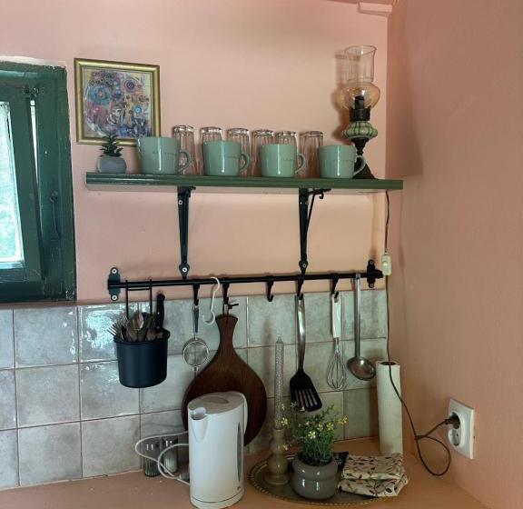 پانسیون Guest House Pikec