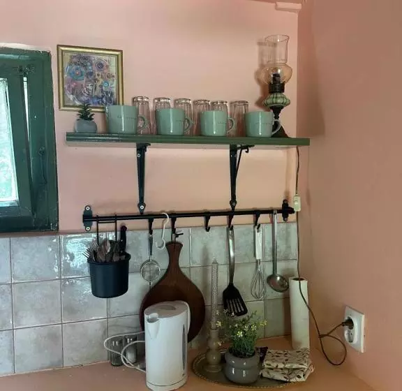 پانسیون Guest House Pikec