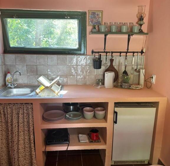 پانسیون Guest House Pikec