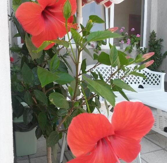 Pensão Guesthouse Kamelia