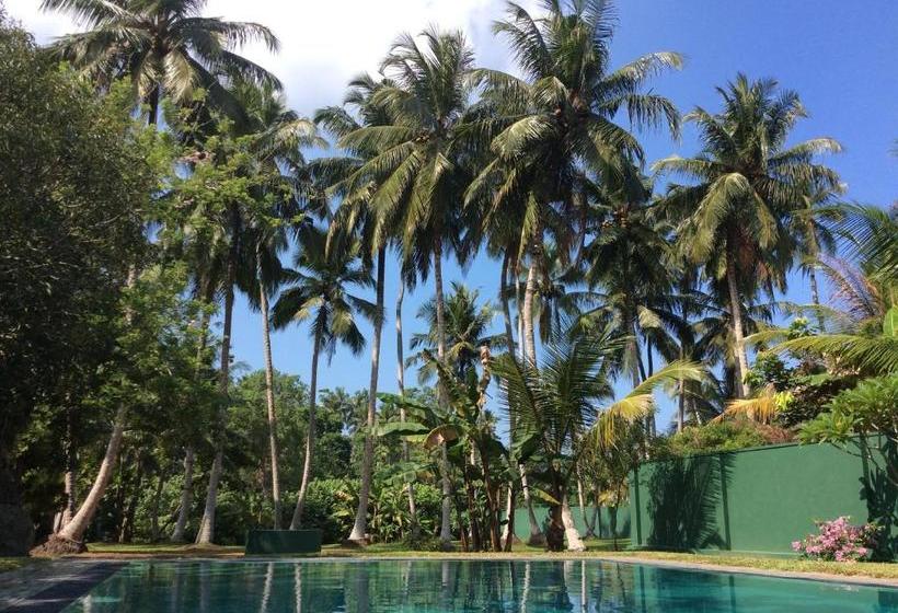 Пансион Hettimulla River House