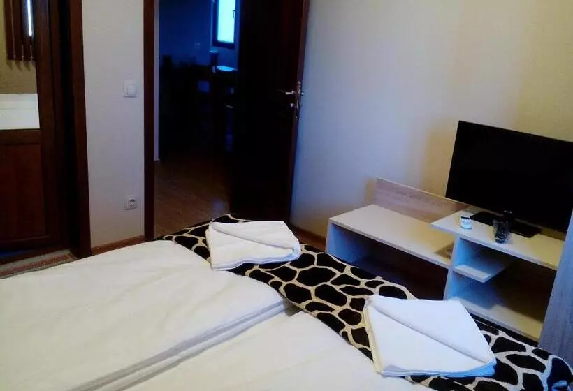 ペンション Mini Complex Rilski Terasi