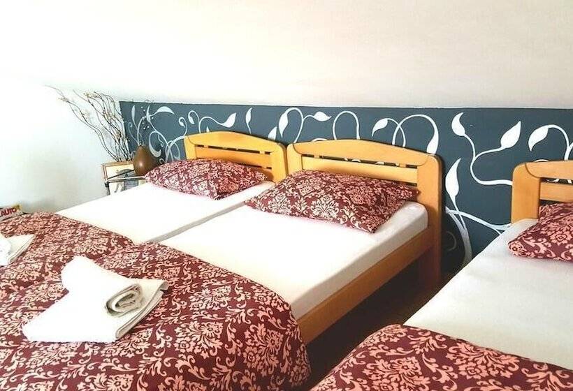 پانسیون Guesthouse Vladimir & Ana