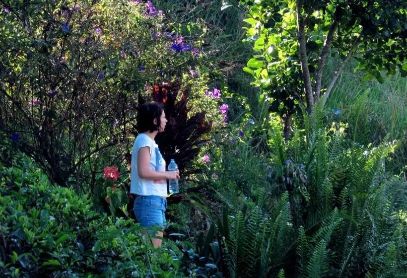 پانسیون Achintha Family Guest House