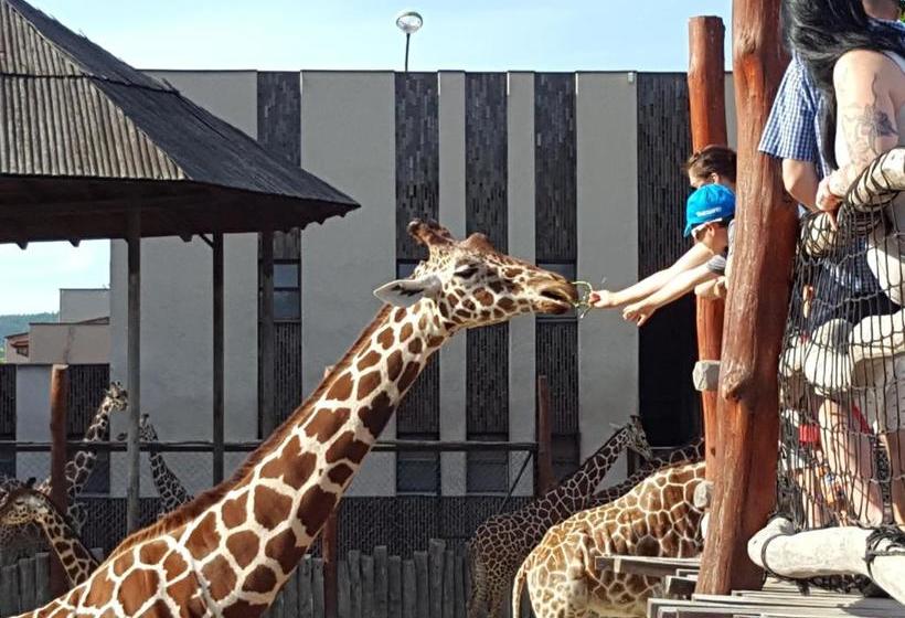 بنسيون Chata   Srub Kašparáci