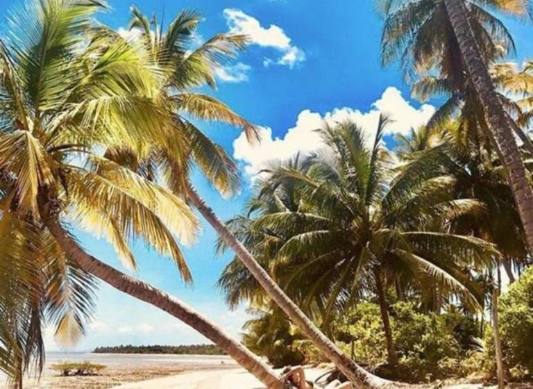 Пансион Eco Pousada Casa Bobô