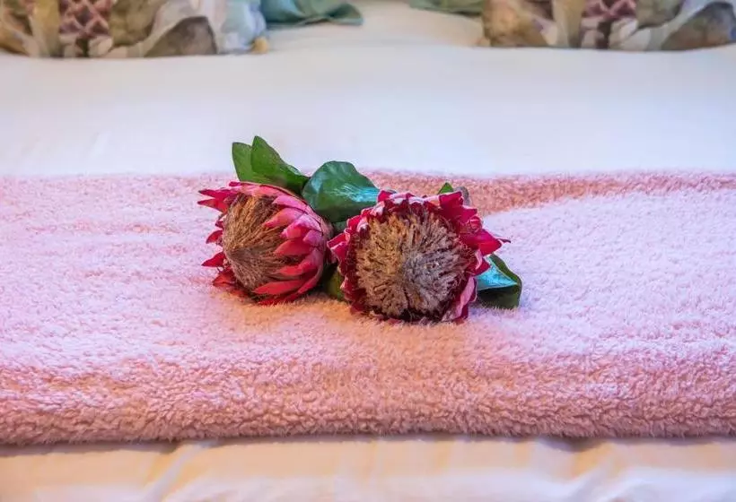 ペンション Mirabel Guesthouse