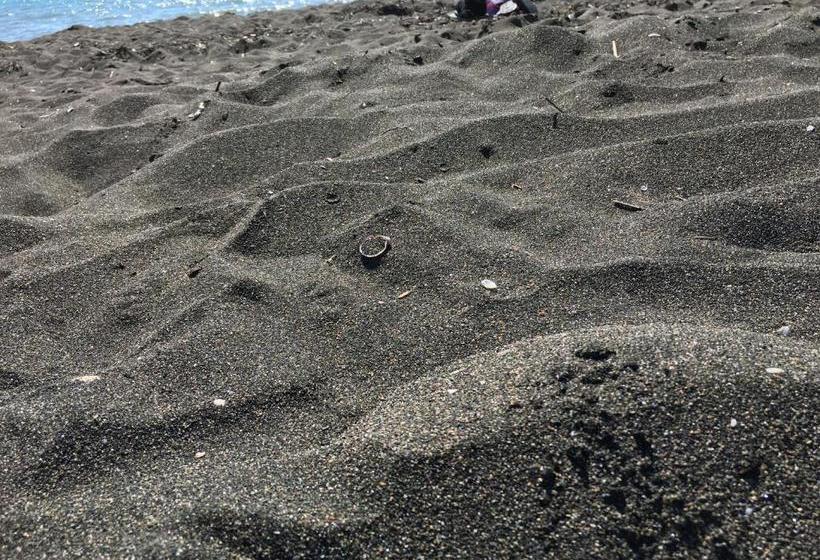 هاستل Chito Gvrito