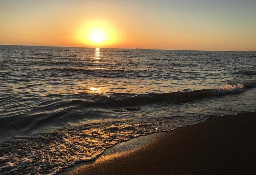 هاستل Chito Gvrito