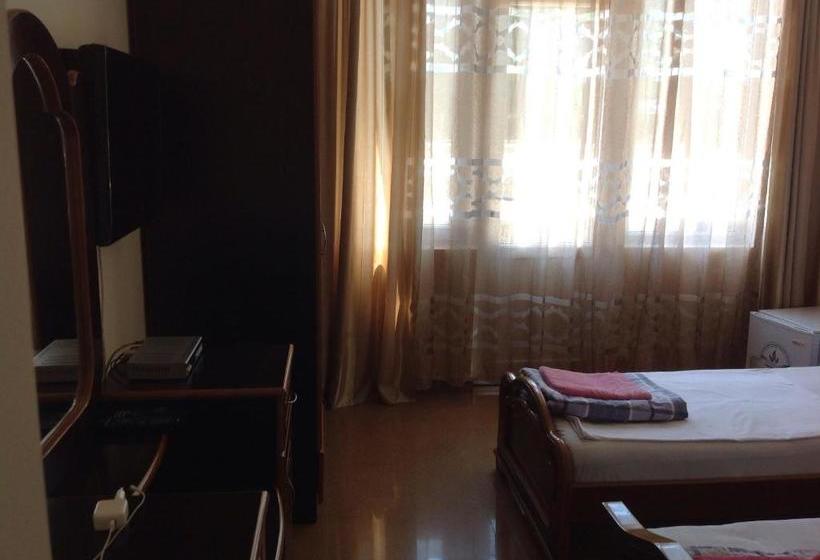 هاستل Chito Gvrito