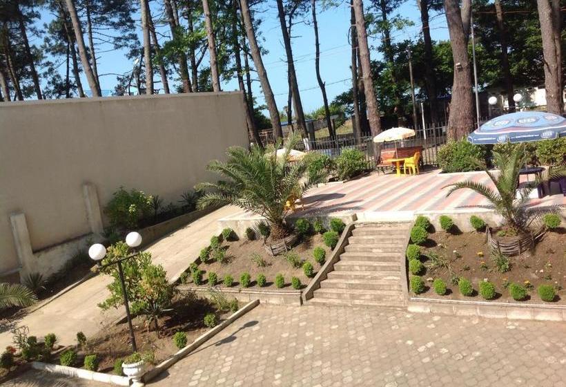 هاستل Chito Gvrito