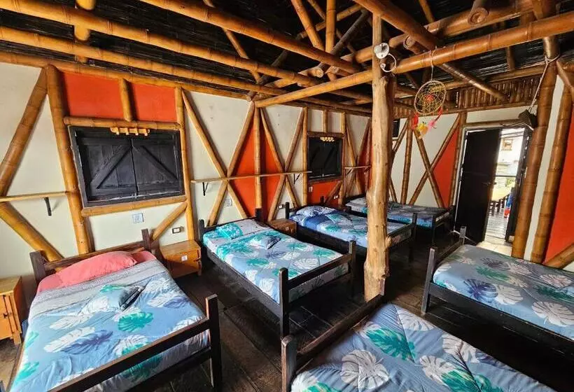 ユースホステル Hostal Bambu