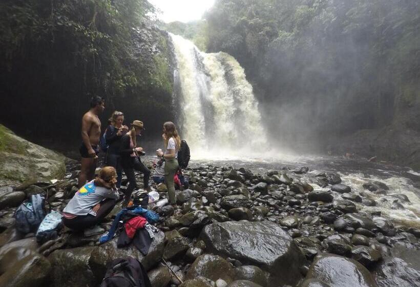 هاستل Hostal Bambu