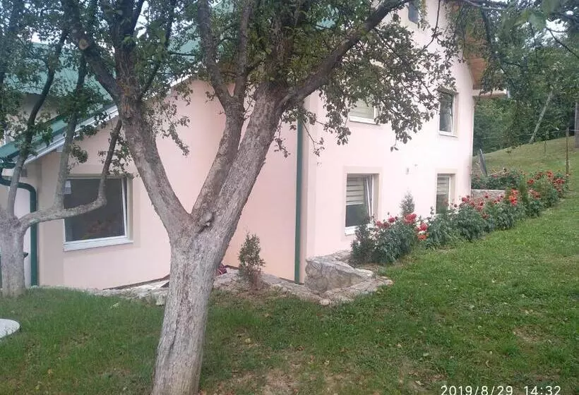 پانسیون Apartments & Rooms Bojic