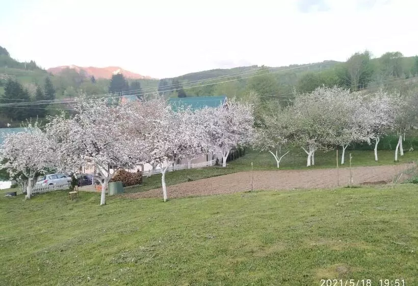پانسیون Apartments & Rooms Bojic
