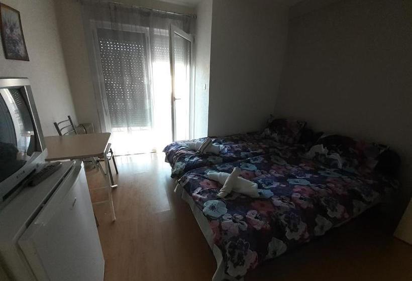 پانسیون Guest House Zarnovel Palace