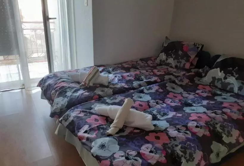 پانسیون Guest House Zarnovel Palace