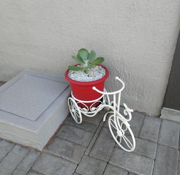 膳宿费 Kalahari Rus