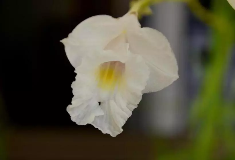 Residencial Portinari Ltda