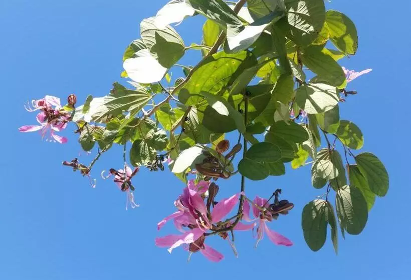 Residencial Portinari Ltda