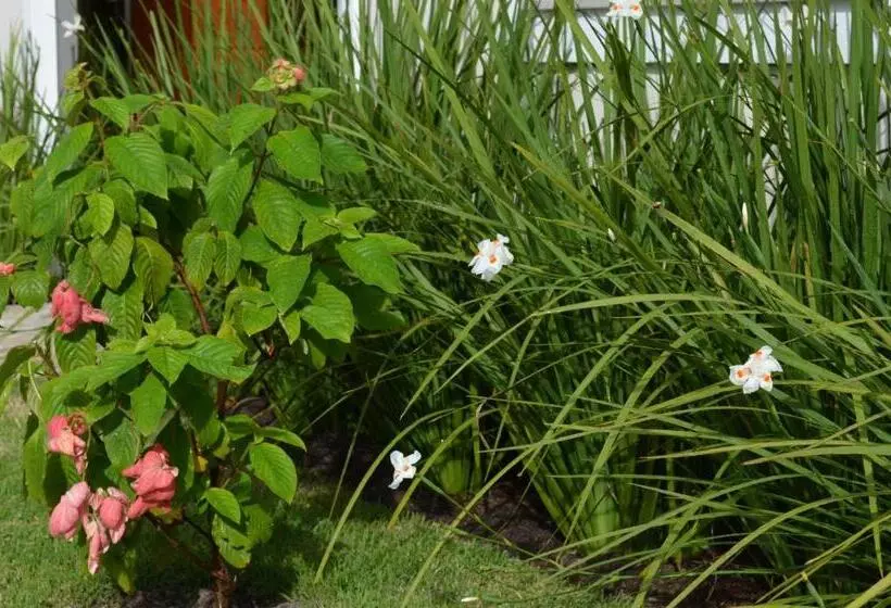 Residencial Portinari Ltda