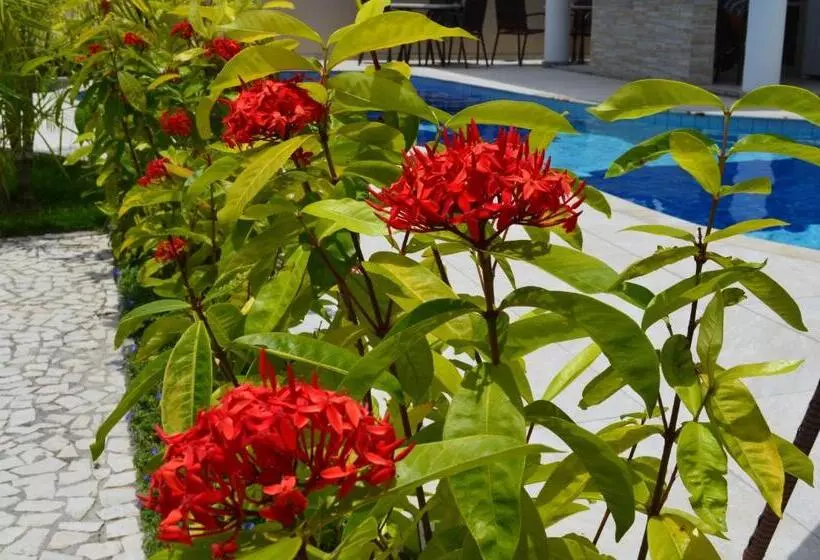 Residencial Portinari Ltda