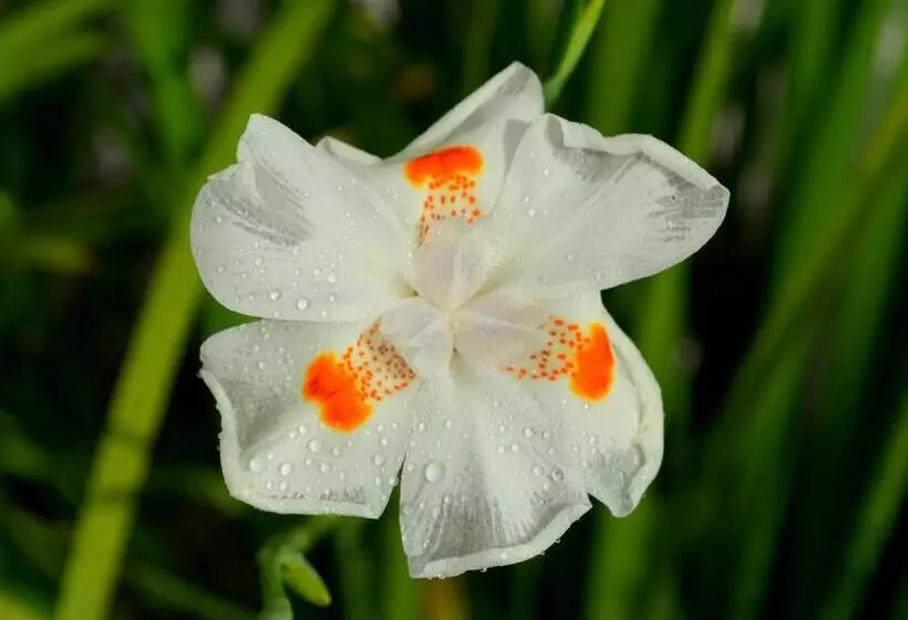 Residencial Portinari Ltda