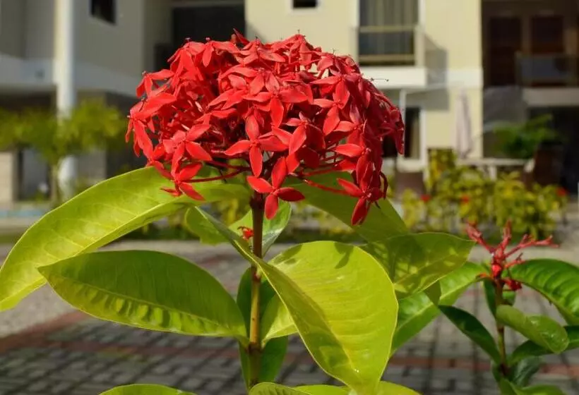 Residencial Portinari Ltda